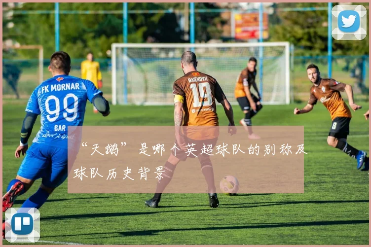 “天鹅”是哪个英超球队的别称及球队历史背景