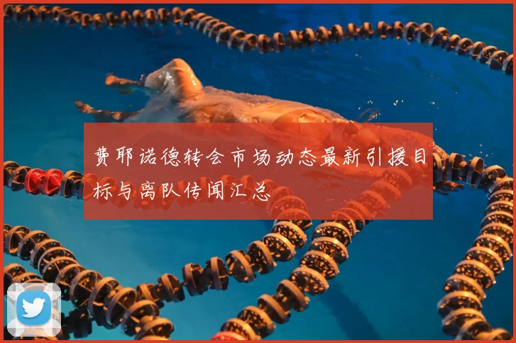 费耶诺德转会市场动态最新引援目标与离队传闻汇总