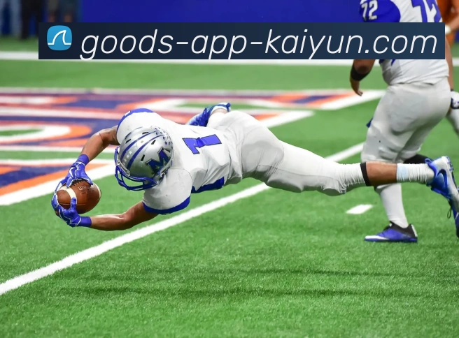 App Interface Preview