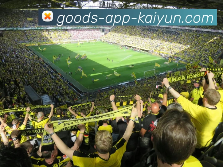 开云appAPP 封面图